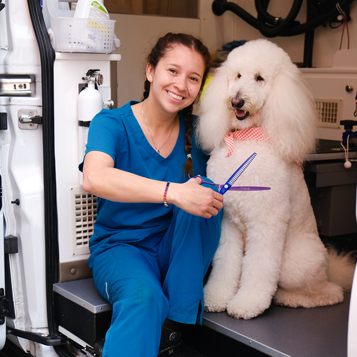 Mobile Grooming Hero Image