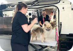 Molly’s Pampered Paws