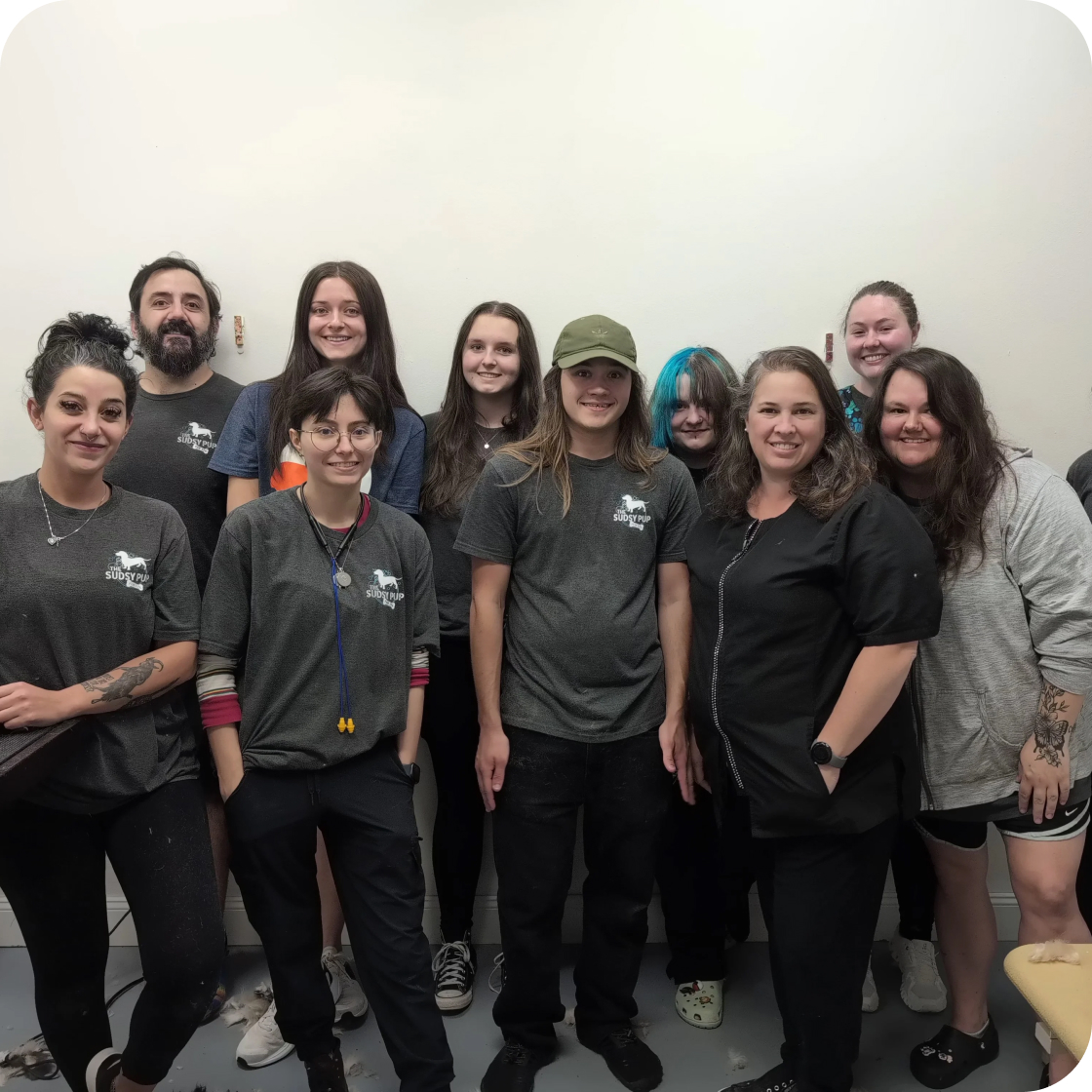 Image for story "1300+ Reviews: How Sudsy Pup Drives 90%+ Feedback"